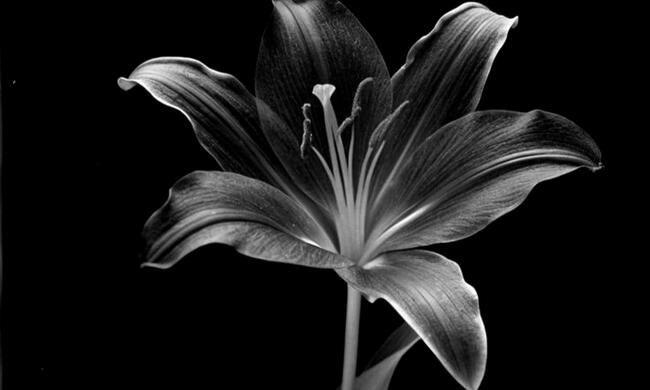 preview art by mvashnic preview art by mvashnic