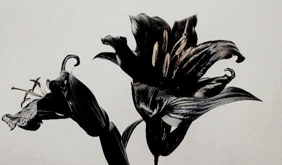 preview art by mvashnic preview art by mvashnic